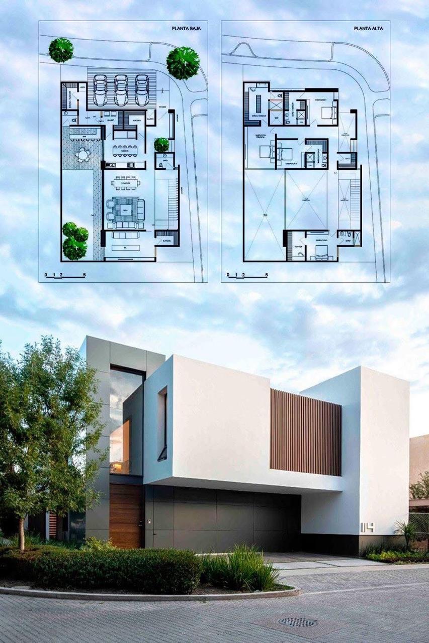 Planos y fachada de proyecto arquitectónico